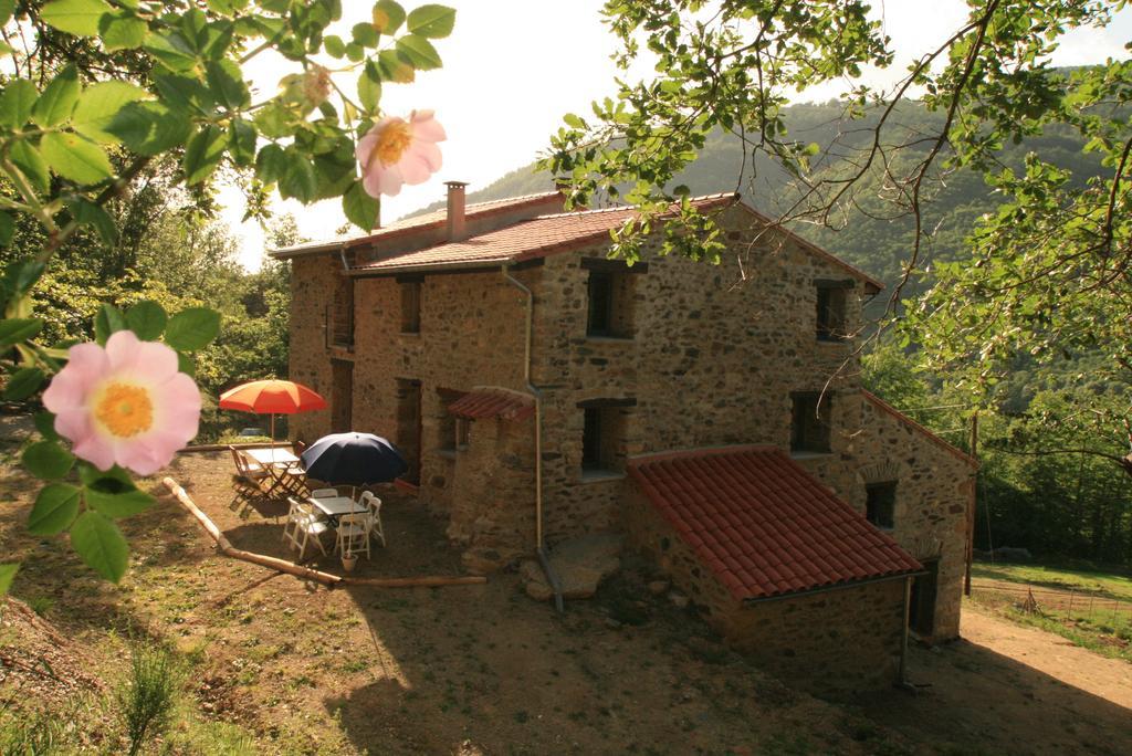 Chambres d'hôtes Mas La Tardosse Prats-de-Mollo-la-Preste Quarto foto